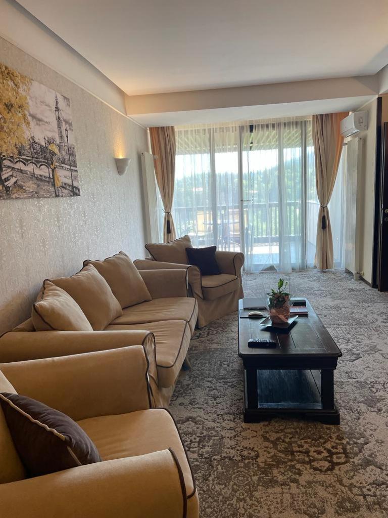 Apartament Executive Vedere Munte Alpin Resort Poiana Braşov Dış mekan fotoğraf