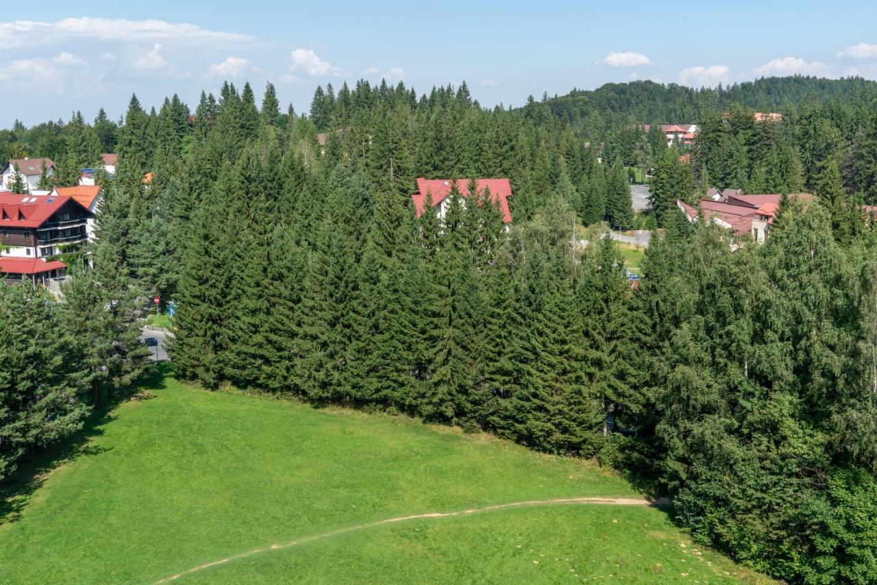 Apartament Executive Vedere Munte Alpin Resort Poiana Braşov Dış mekan fotoğraf